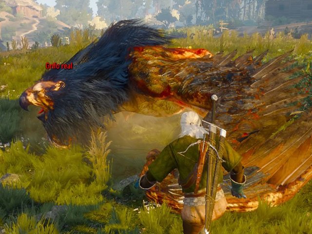 Grifo Real The Witcher 3