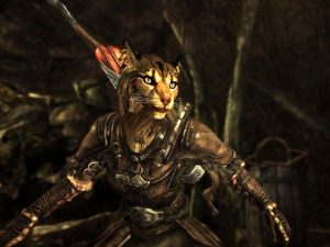 Subir Habilidades de Skyrim con Robo