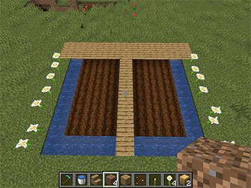 Base del Jardín Colmena