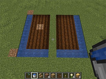 Cultivos del Jardín Colmena