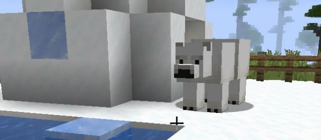 Como Domesticar Un Oso Polar En Minecraft