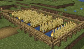 Cómo Hacer un Huerto en Minecraft