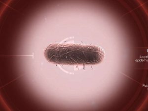 Bacteria en Plague Inc