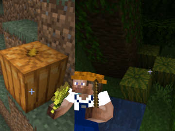 Cómo Encontrar Calabazas y Sandías en Minecraft