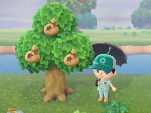 Árbol de Bayas (Dinero) en Animal Crossing New Horizons