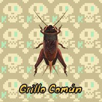 Grillo Común en Animal Crossing New Horizons