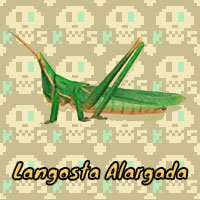 Langosta Alargada en Animal Crossing New Horizons