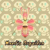 Mantis Orquídea en Animal Crossing New Horizons