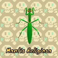 Mantis Religiosa en Animal Crossing New Horizons