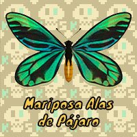 Mariposa Alas de Pájaro en Animal Crossing New Horizons