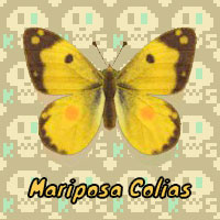 Mariposa Colias en Animal Crossing New Horizons
