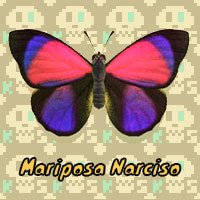 Mariposa Narciso en Animal Crossing New Horizons