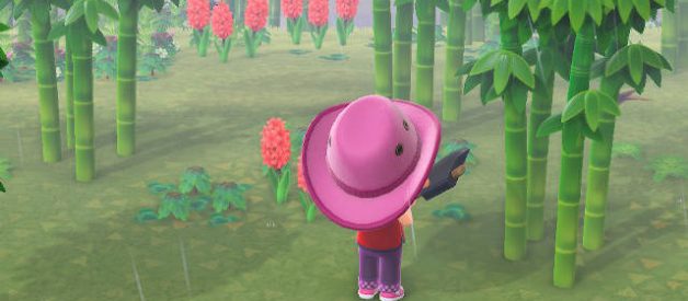 Isla del Bambú en Animal Crossing New Horizons