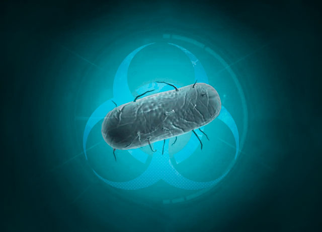 Bacteria en Plague Inc The Cure