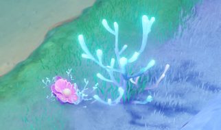 Localización de la Perla de Coral en Genshin Impact