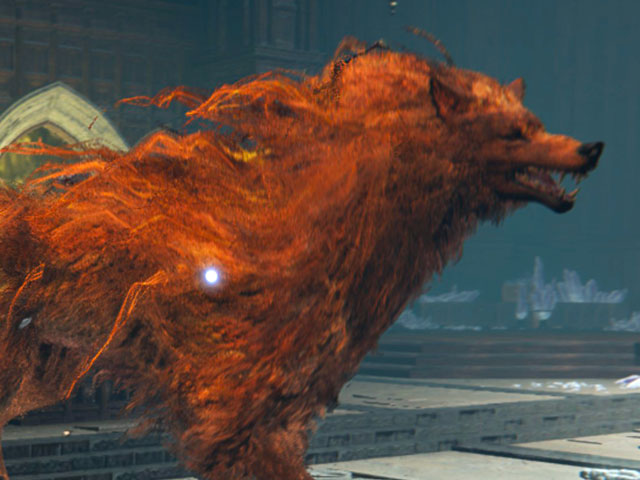 Lobo Rojo de Radagon en Elden Ring
