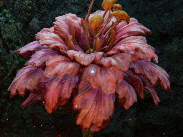 Miranda la Flor Marchita en Elden Ring