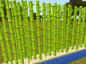 Caña de Azúcar en Minecraft
