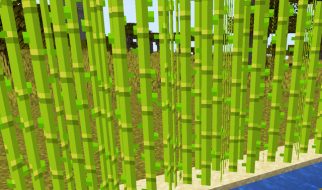Cómo Cultivar Caña de Azúcar en Minecraft