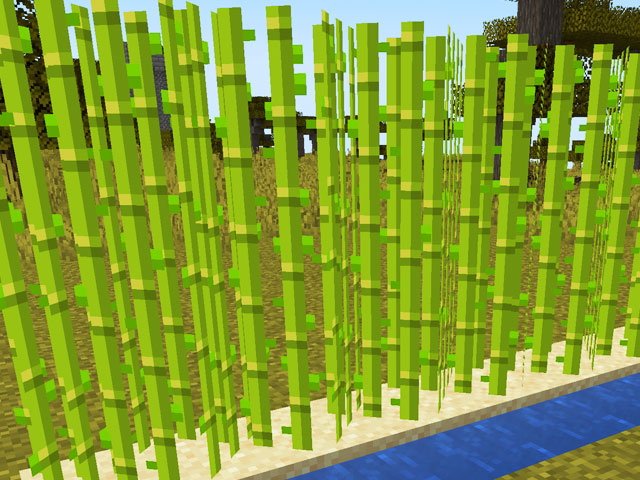 Caña de Azúcar en Minecraft