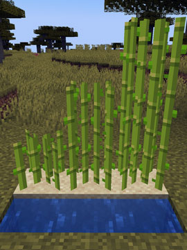 Crecimiento de la Caña de Azúcar en Minecraft