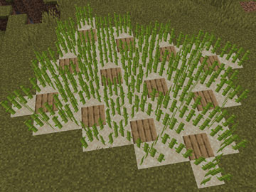 Plantación Óptima de Caña de Azúcar en Minecraft