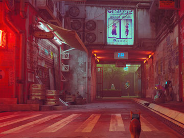 Calle de Clementine en Stray