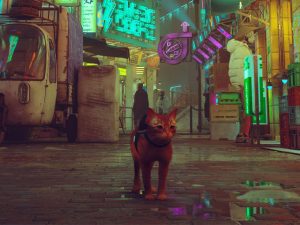 Centro de Stray
