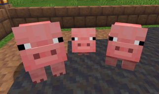 Cerdo en Minecraft: Domesticación, Qué Come y Crianza