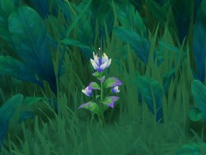 Orquídea Padishá en Genshin Impact