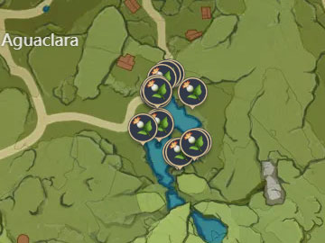 Localización del Lirio Cala en la Aldea Aguaclara