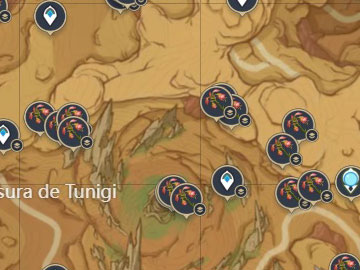 Localización de la Flor Funeraria en el Cañón Zulqarnain