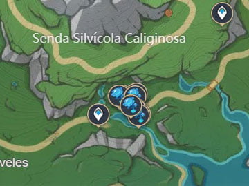 Localización del Lirio Lumilago en la Senda Silvícola Caliginosa