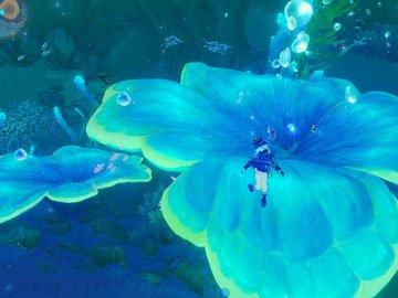 Flores Azules Marinas en Genshin Impact