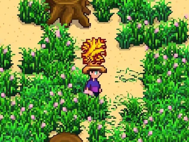 Heno y Hierba en Stardew Valley
