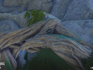 Raíces sobre las que suele estar la Coriolus