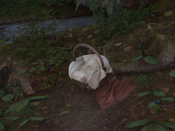 Cesta que Contiene mucha Belladona en Kingdom Come Deliverance 2