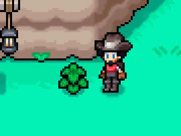 Aspecto que tiene la Ortiga en el exterior en Fields of Mistria